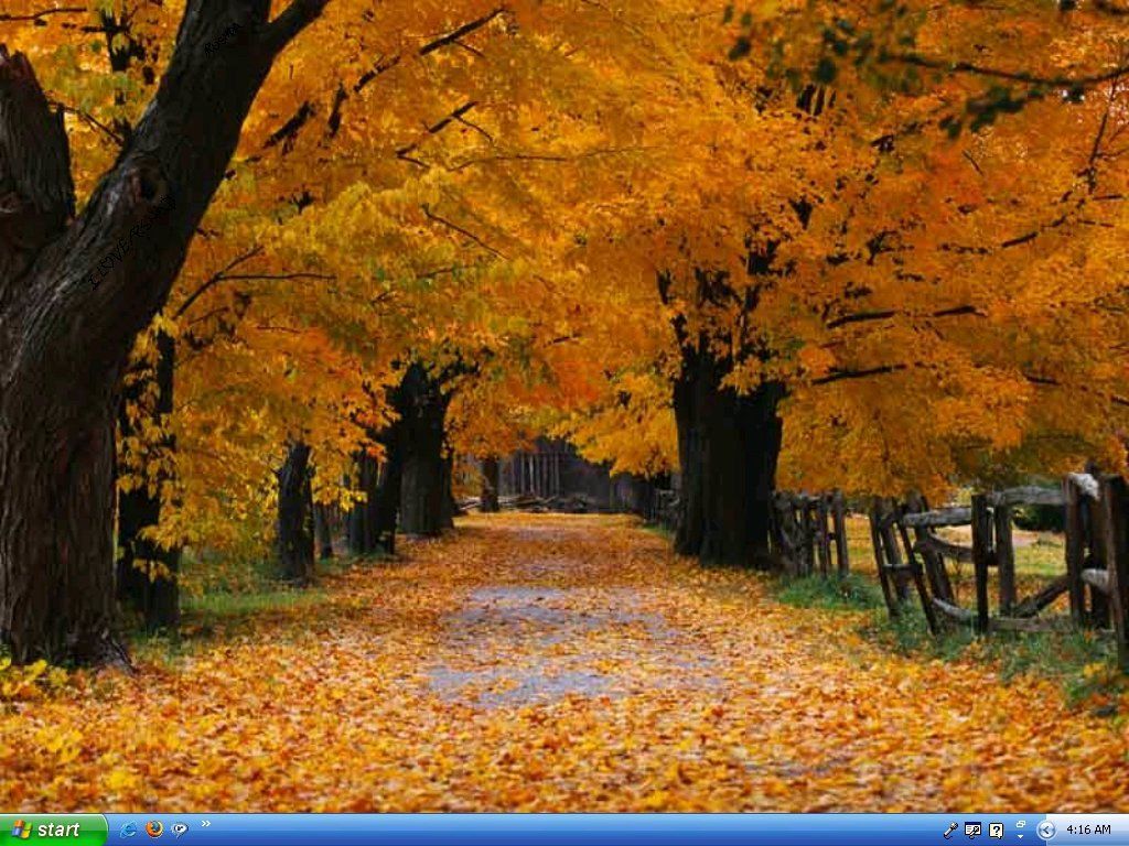 Maquiagem De Alta-Costura